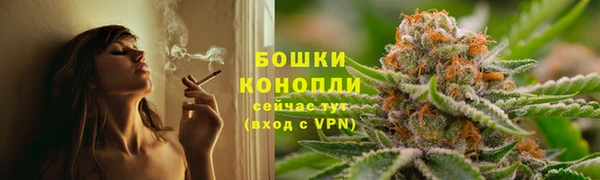 ГАЛЛЮЦИНОГЕННЫЕ ГРИБЫ Арсеньев